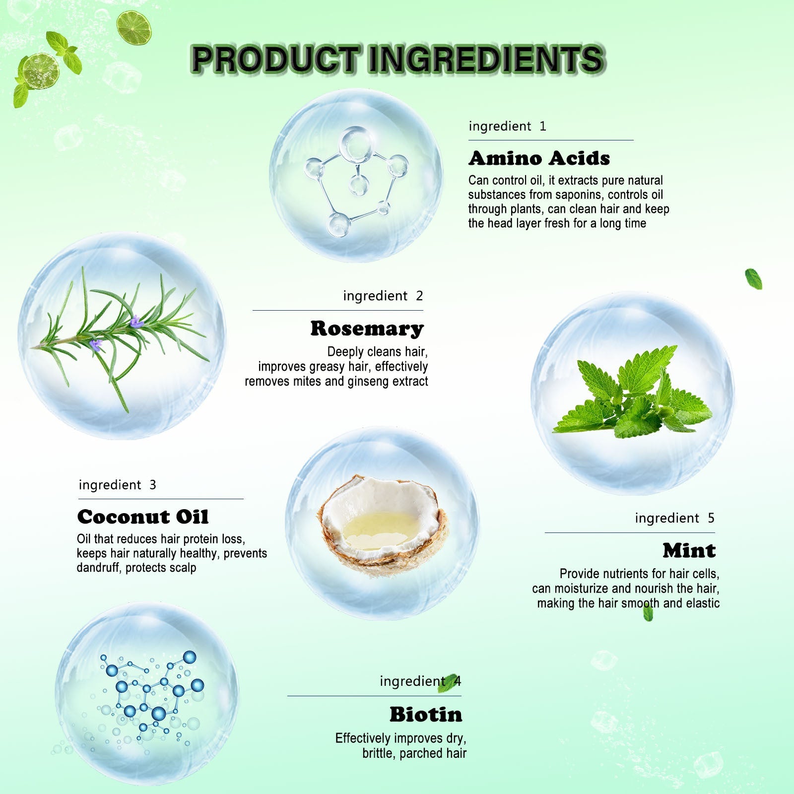 Rosemary Mint Hair Growth Shampoo – Strengthen, Repair & Refresh